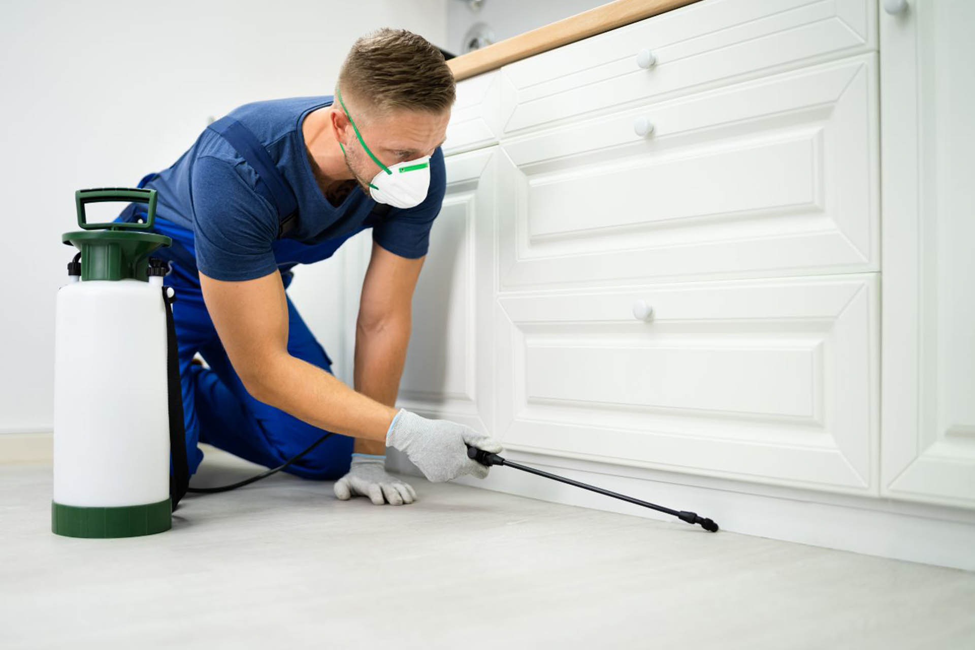 Service de dératisation professionnelle en Tunisie