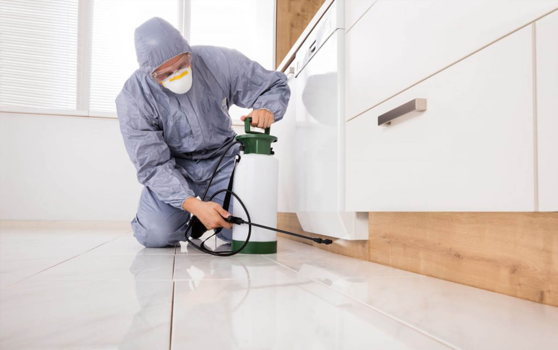 Service de désinfection professionnelle en Tunisie